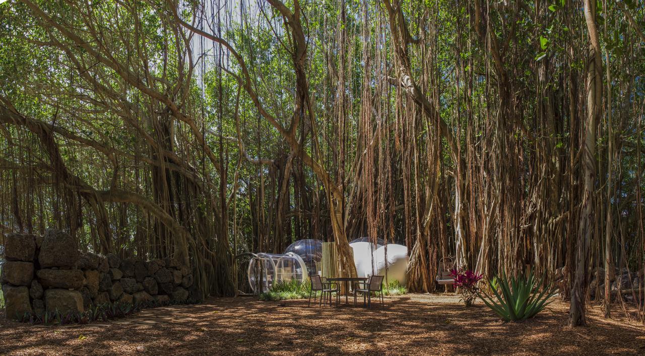 Bubble Lodge Ile Aux Cerfs Island Exterior photo